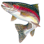 Sleepy Creek Trout Unlimited